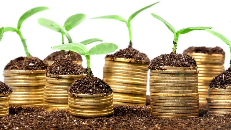 green investment